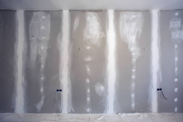Best Water Damage & Mold Remediation  in Coeur Dalene, ID